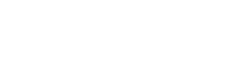 FSLink